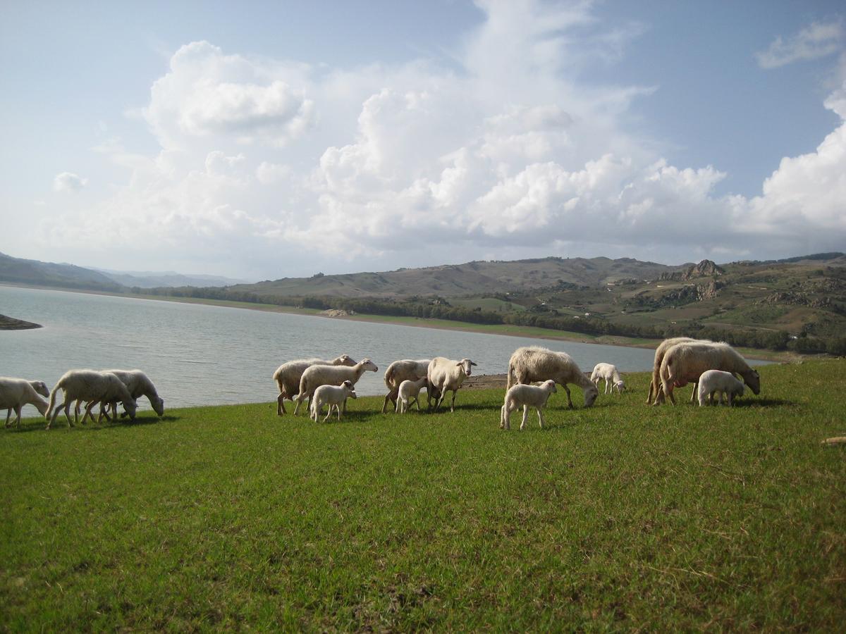 Oasi Del Lago Regalbuto エクステリア 写真